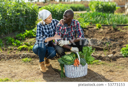 Joyful couple with a basket of vegetables in the garden 53773153