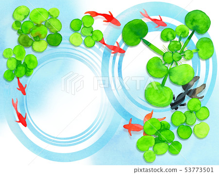 水生植物和金魚（水平） 53773501