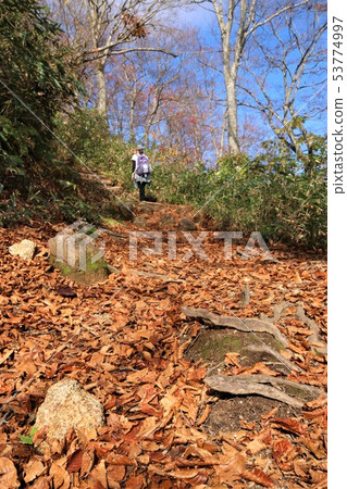 在白馬足蹟的秋葉 53774997