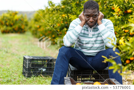 Tired African-American farmer sitting on citrus plantation Tired African-American farmer sitting on citrus plantation 53776001