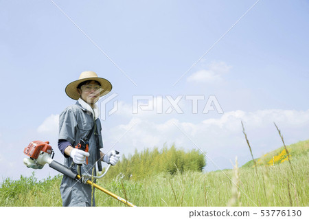 除草圖像,除草圖像 除草圖像,除草圖像 53776130