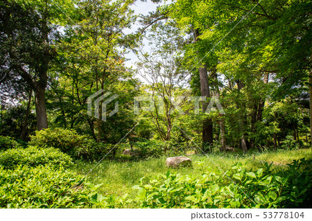 Nishinomaru Garden Tsu Castle ruins 53778104