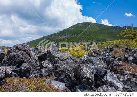 Tsuboiwa nature garden: lava rock Hadano city 53778187