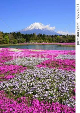 May Fujimoto Lake Biwa Resort 33 Mt. 53778251