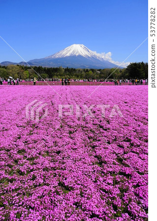 May Fujimoto Lake Biwa Resort 02 Mt. May Fujimoto Lake Biwa Resort 02 Mt. 53778282