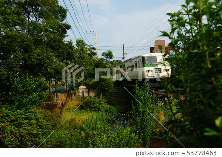 Mishima City Genbei River Mishima City Genbei River 53778463