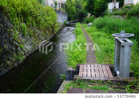 Mishima City Genbei River Mishima City Genbei River 53778466