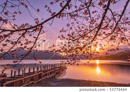 暮光湖中禪寺山櫻花 暮光湖中禪寺山櫻花 53778484