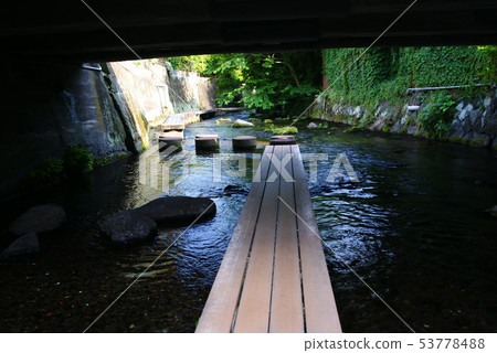 Mishima City Genbei River Mishima City Genbei River 53778488