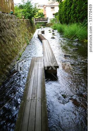 Mishima City Genbei River Mishima City Genbei River 53778489