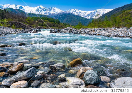 《Nagano Prefecture》 Hakuba Village/Clear stream in the Northern Alps 53779243