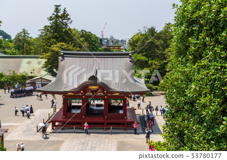 鶴岡八幡宮 53780177