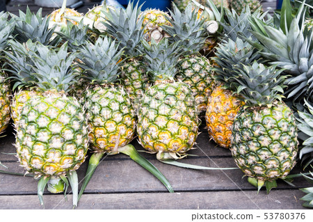 Heap of freshly harvested organic pineapple Heap of freshly harvested organic pineapple 53780376