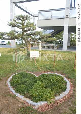 田原市棗山天文台心 田原市棗山天文台心 53780546