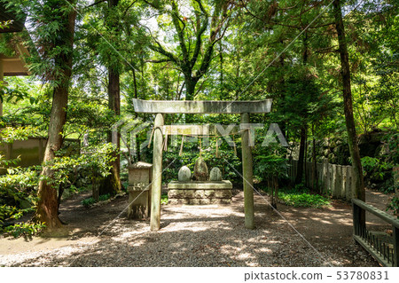 Stone Torii and Mountain God Takayama Shrine 53780831