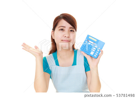 Housewife with computer Housewife with computer 53781498