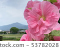 站在Hiei山上 53782028