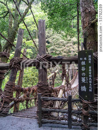 德島縣三好市祖谷葛橋與祖谷川：岩石峭壁與清澈溪流交織，展現出令人嘆為觀止的隱密天堂景色。 53782289