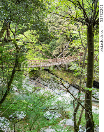 德島縣三好市祖谷葛橋的結構之美：藤蔓和木製欄桿展現了日本的隱密瑰寶。 53782291