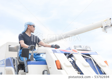 水稻收割 水稻收割 53782694