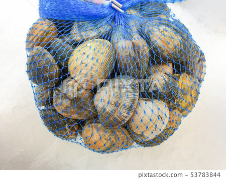 fresh uncooked hard-shell in the package fresh uncooked hard-shell in the package 53783844