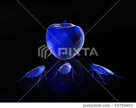 Cockroaches eat food, x-ray mode of  cockroaches. 53784403