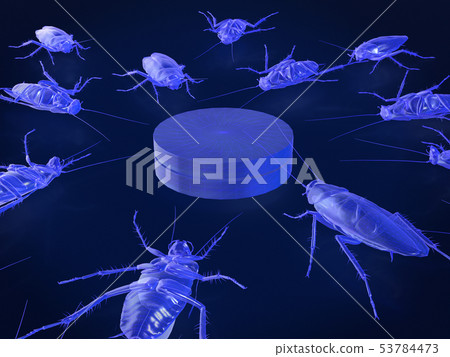 Cockroaches trapped in death, x-ray mode 53784473