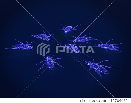 x-ray mode of dead cockroaches. 3Drendering 53784481
