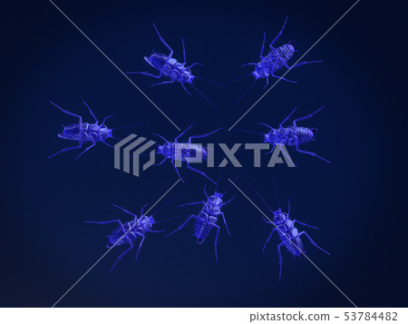 x-ray mode of dead cockroaches. 3Drendering 53784482