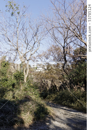 濕地(冬季) 濕地(冬季) 53785124