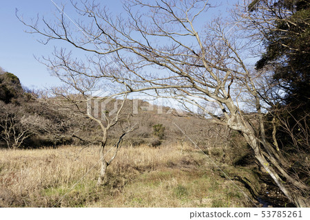 Wetlands (winter) Wetlands (winter) 53785261