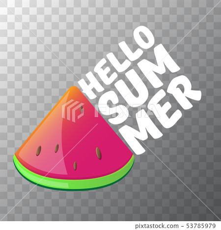 Vector Hello Summer Beach Party Flyer Design template with fresh watermelon slice isolated on Vector Hello Summer Beach Party Flyer Design template with fresh watermelon slice isolated on 53785979