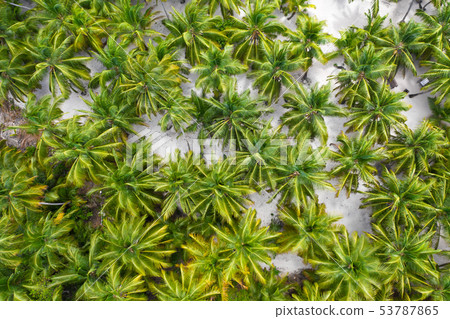 Aerial view from drone on tropical island Aerial view from drone on tropical island 53787865