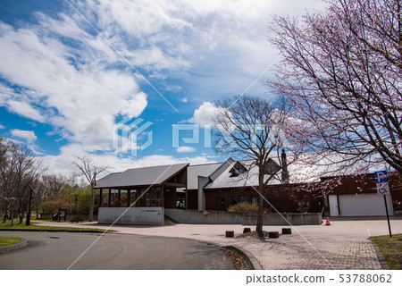 Hokkaido Utonai Lake Wild Bird Conservation Center Sakura 53788062