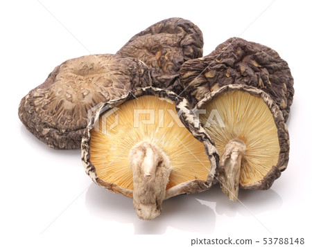 香菇幹（大分縣） 53788148