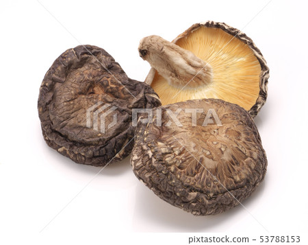 Dried Shiitake (Oita Prefecture) 53788153