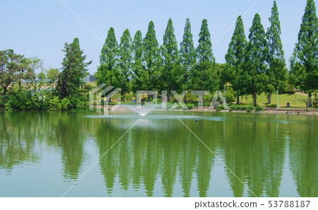 Scenery of Shirokita Park Oike 53788187