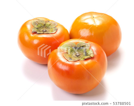 扶餘飯碗（來自岐阜縣） 53788501