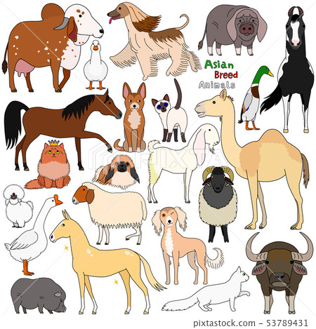 Set of pets and livestock 53789431
