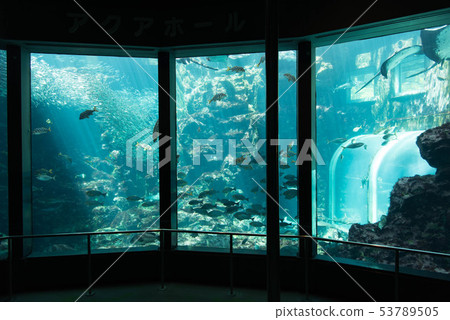 Aquarium aquarium fish near Japan 53789505