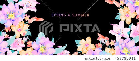 優雅的手繪玉蘭花花卉 優雅的手繪玉蘭花花卉 53789911