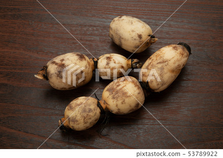 生蓮藕 生蓮藕 53789922