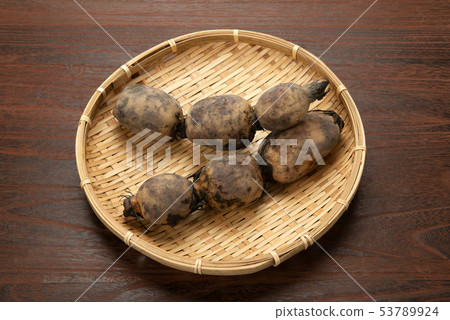 生蓮藕 生蓮藕 53789924