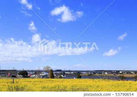 Sa玉縣八潮市中川八潮花公園 Sa玉縣八潮市中川八潮花公園 53790654
