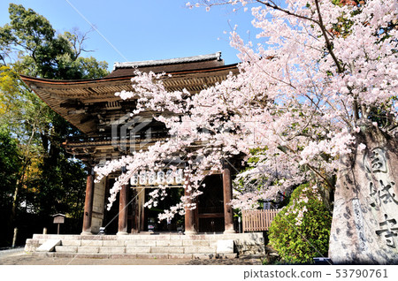 Sohonsan Mitsuisa Temple Innomon（達蒙） 53790761