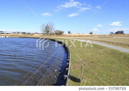 Nakagawa Yashio海濱學校埼玉縣Yashio市 Nakagawa Yashio海濱學校埼玉縣Yashio市 53790789