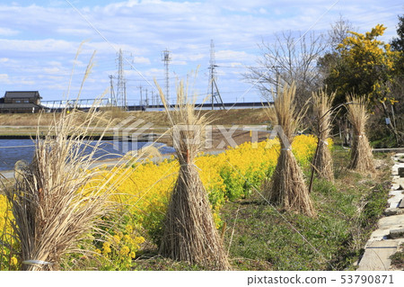 Sa玉縣八潮市中川八潮花公園 53790871