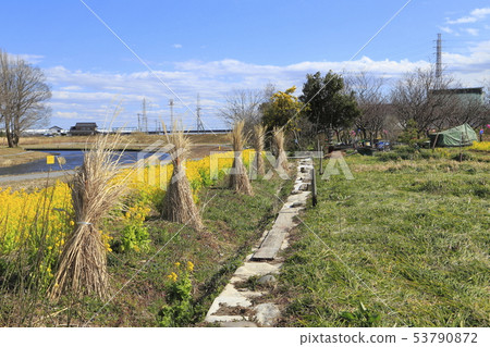 Sa玉縣八潮市中川八潮花公園 Sa玉縣八潮市中川八潮花公園 53790872