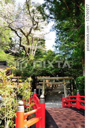Tenkawa Daibanzai Taisha and Torii 53790977