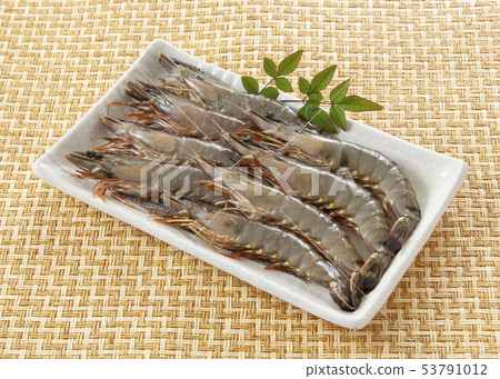 黑虎 黑虎 53791012